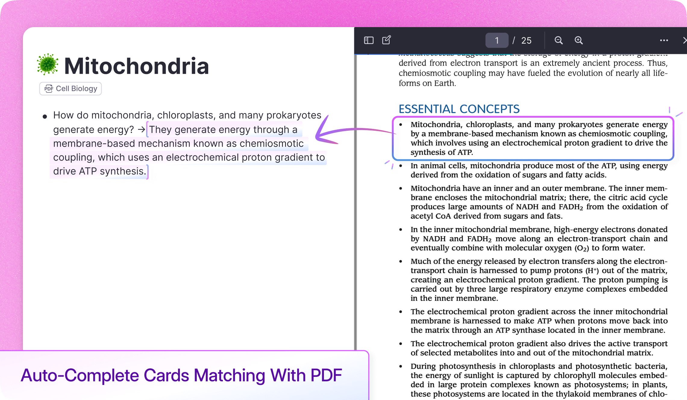 AI chat answering questions about PDF content