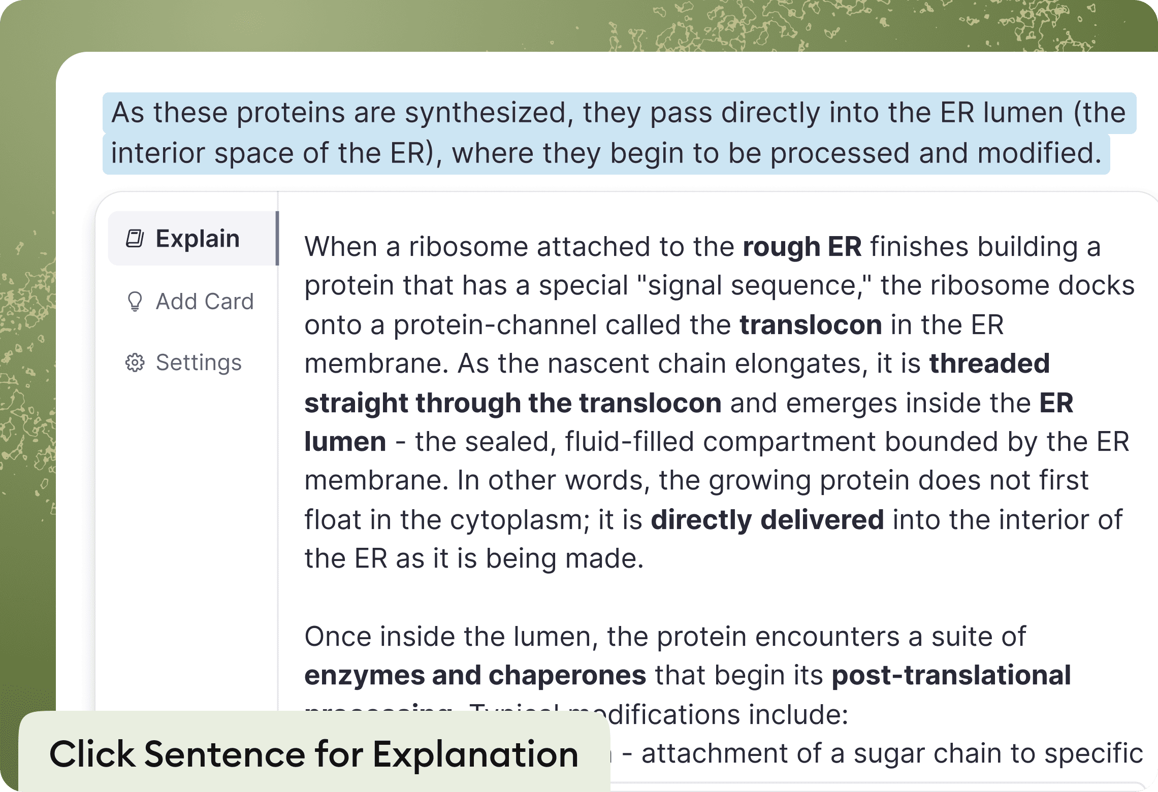 Clicking a sentence in the AI summary to get an instant explanation