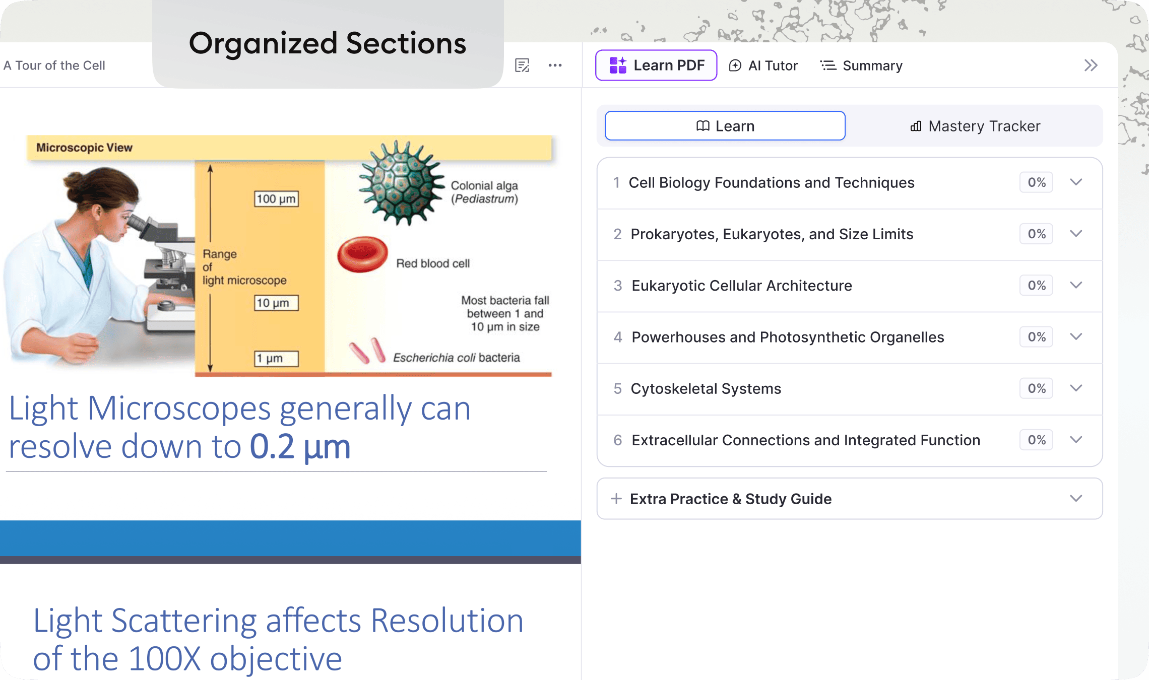 PDF organized into bite-sized learning sections with Learn PDF tabs