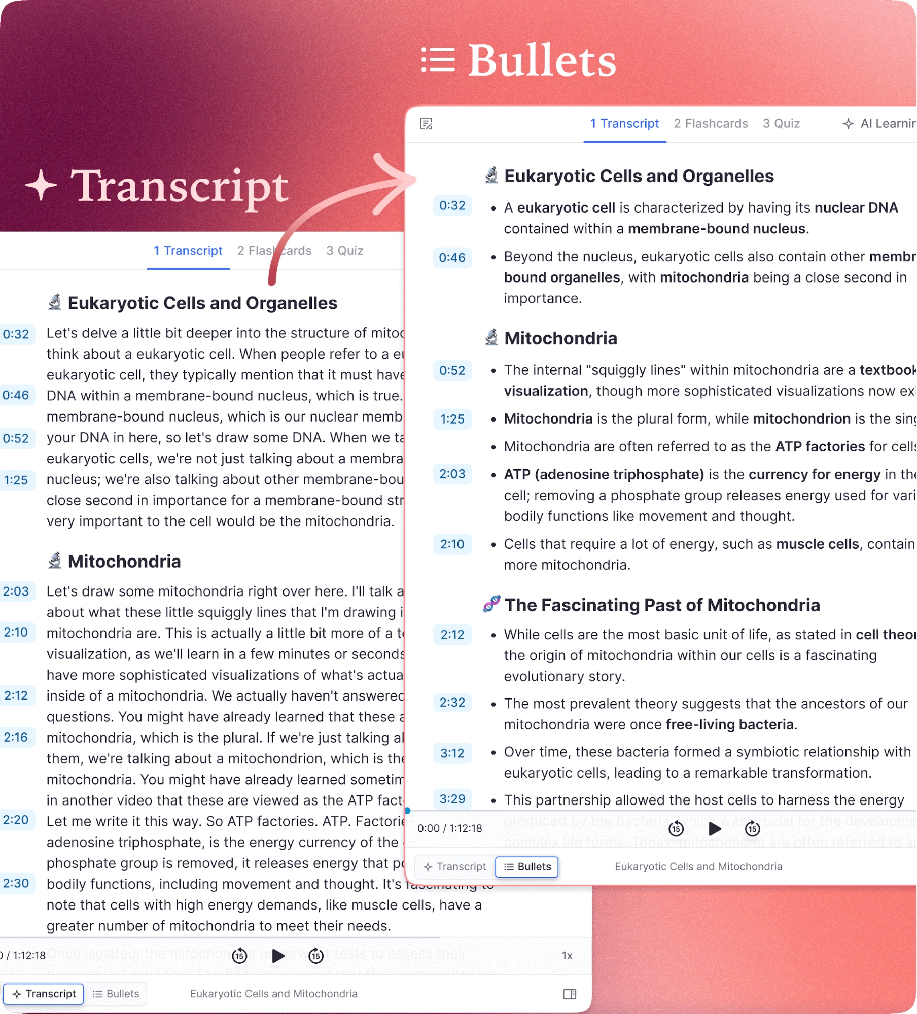 Lecture recorder with live transcription display